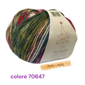 Laines du Nord PICASSO hand dye